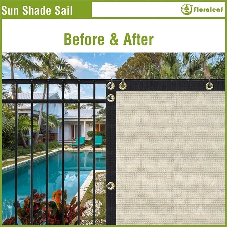 81b8Scx5gWL._AC_SL1500_